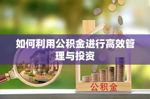 金门如何利用公积金进行高效管理与投资